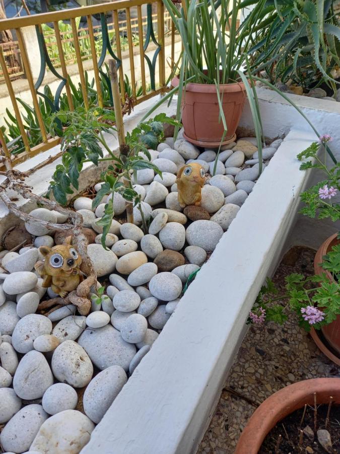 Ferienwohnung Alexandros Cosy House For Family Vacation Chania  Exterior foto