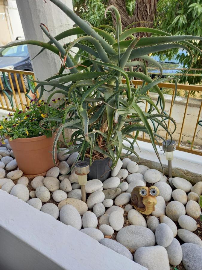 Ferienwohnung Alexandros Cosy House For Family Vacation Chania  Exterior foto